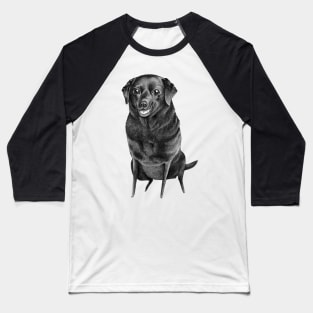 Black Labrador Baseball T-Shirt